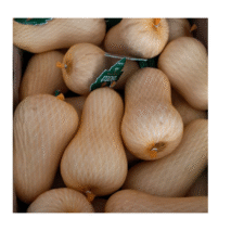 ABÓBORA CREMOSA BATÃ - KG