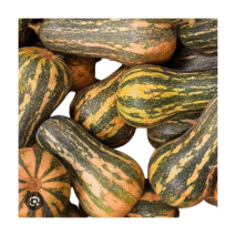 ABÓBORA MENINA - UNIDADE