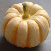 ABÓBORA PUMPKINO - KG