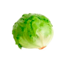 ALFACE AMERICANA - UNIDADE