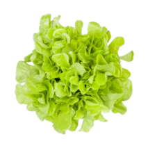 ALFACE MIMOSA - UNIDADE