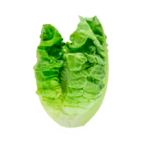 ALFACE ROMANA - UNIDADE