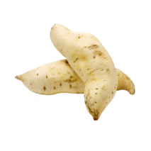 BATATA DOCE BRANCA - KG