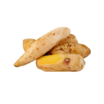 BATATA YACON - KG