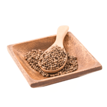 COENTRO EM SEMENTES - KG