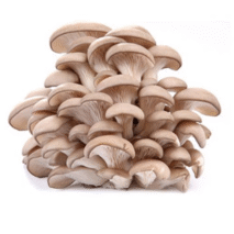 COGUCOGUMELO HIRATAKE BRANCO - BANDEJA 200G