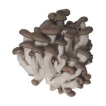 COGUMELO SHEMEJI PRETO - BANDEJA 200G