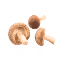 COGUMELO SHITAKE - BANDEJA 200G