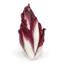 ENDÍVIA ROXA - PACOTE