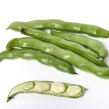FAVA - KG