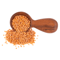 MOSTARDA EM GRÃO - KG