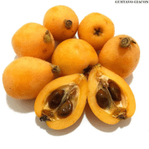 NÊSPERA - BANDEJA 500G