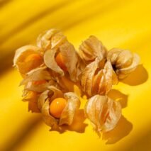 PHYSALIS - POTE 100G