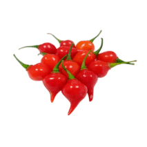 PIMENTA BICO - BANDEJA 90G