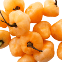 PIMENTA DE CHEIRO ARDIDA - BANDEJA 90G