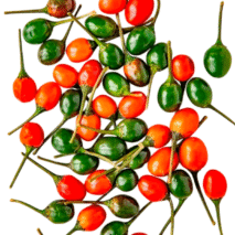 PIMENTA DE PASSARINHO - BANDEJA 90G