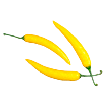 PIMENTA MALAGUETA AMARELA - BANDEJA 90G