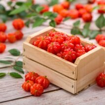 PITANGA - BANDEJA 100G