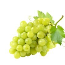 UVA ITÁLIA - PACOTE 1KG