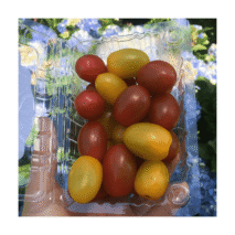 TOMATE GRAPE MISTO BANDEJA 250G