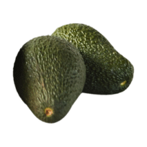 ABACATE AVOCADO - KG