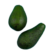 ABACATE FORTUNA - KG